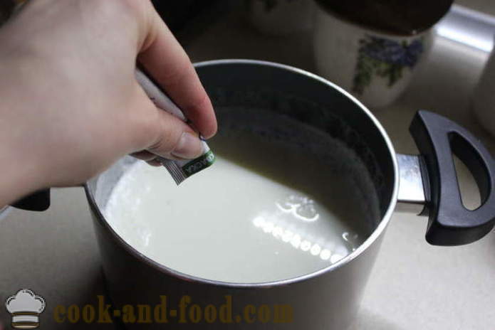 Hemlagad yoghurt från mjölk jäsa - hur man gör yoghurt hemma, steg för steg recept foton