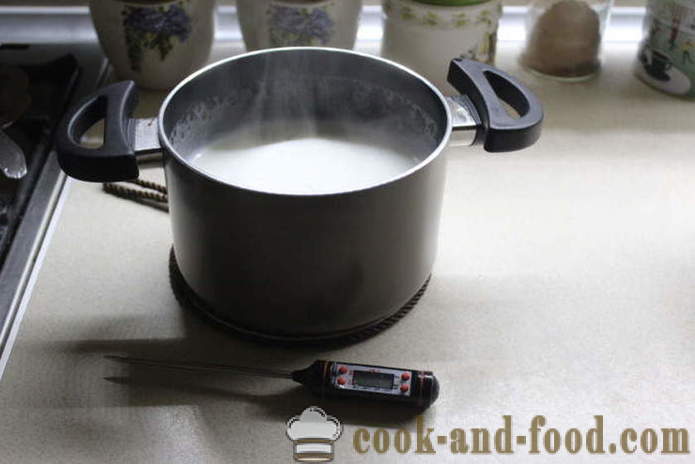 Hemlagad yoghurt från mjölk jäsa - hur man gör yoghurt hemma, steg för steg recept foton