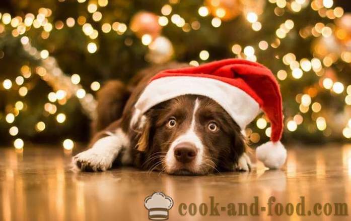 Enkla idéer nyårs dekorationer på året av Gula Earth Hundar på den östra kalendern, med foto