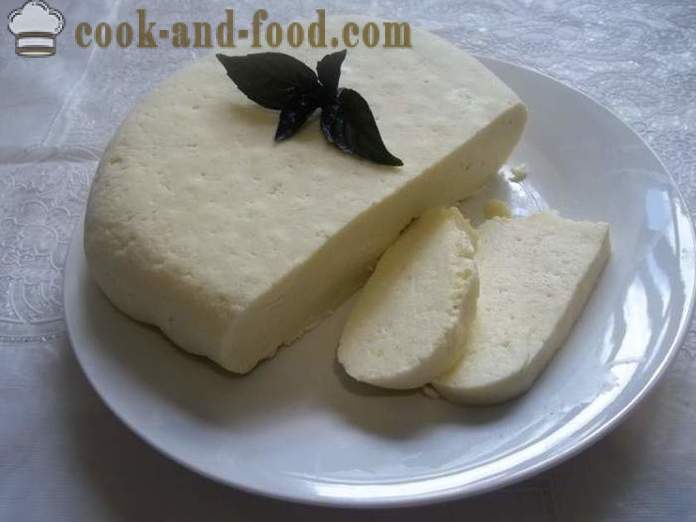 Ost ost från mjölk hem - hur man gör ost hemma, steg för steg recept foton