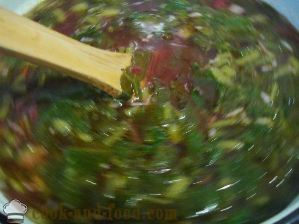 Grönsakssoppa med ängssyra - hur man lagar soppa med ängssyra, ett steg för steg recept foton