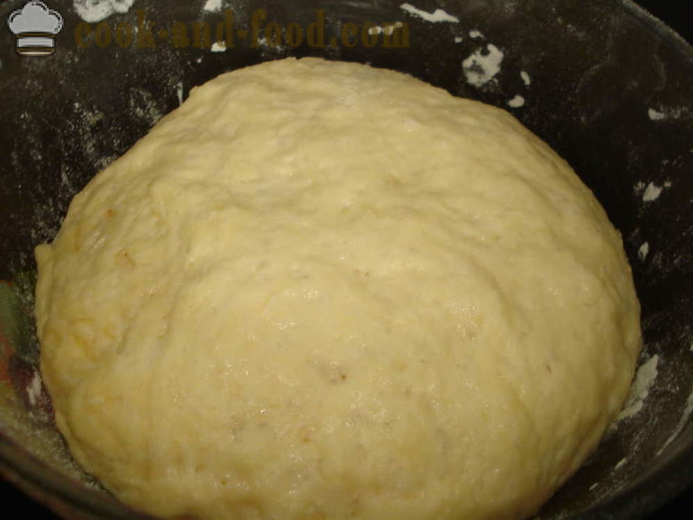 Jäst tårta med vallmofrön i ugnen - hur man lagar en kaka med vallmofrön, ett steg för steg recept foton