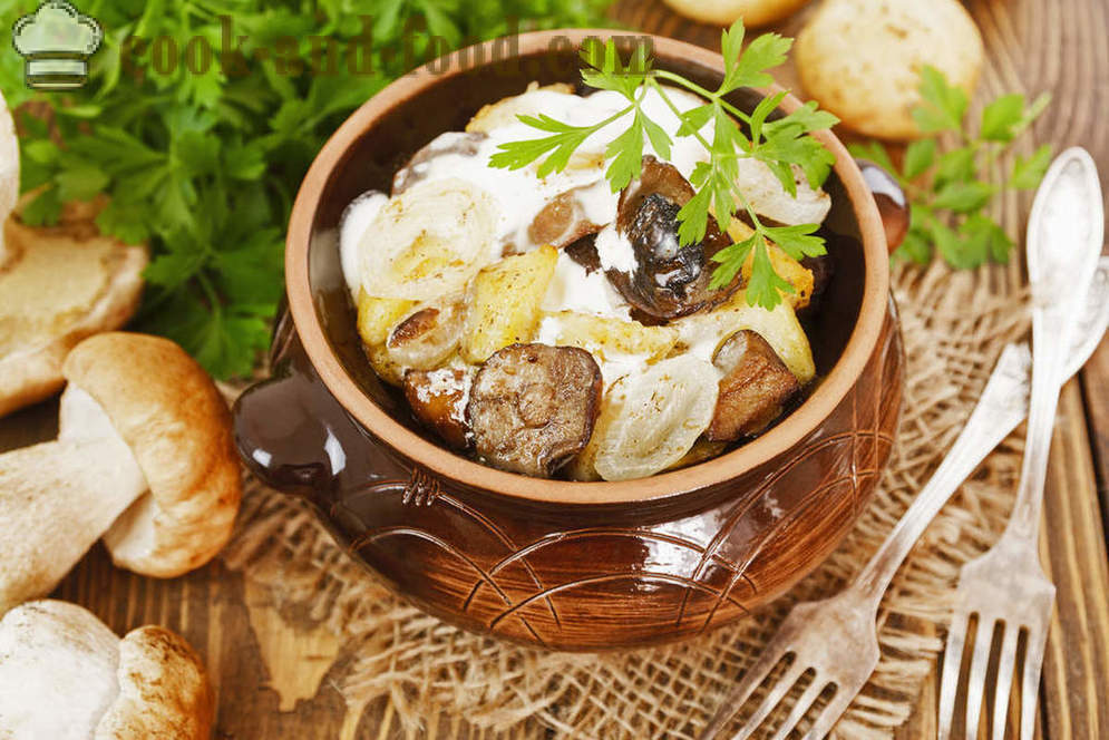 Potatis Recept med svamp, stuvad i en kruka